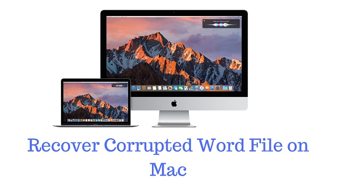 microsoft word for mac torrent cracked reddit