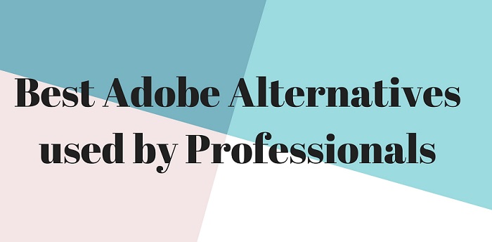 Adobe Competitors: Best Adobe Alternatives for Professionals