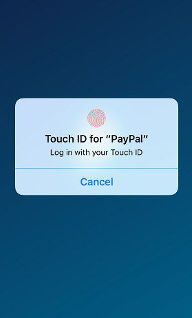 touch id for app